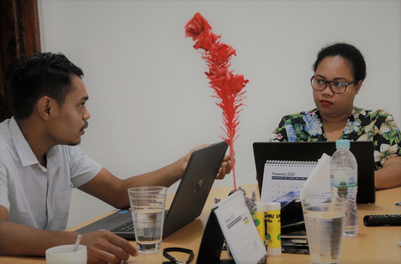 APFTL nafatin kolabora ho IRI ba programa Rona Povu nia Lian